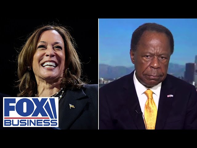 ⁣'DISINGENUOUS': Leo Terrell blasts Harris' rollout of Black programs