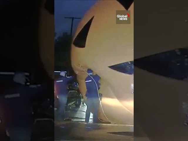 ⁣Police officer swallowed by giant pumpkin decoration  #Halloween