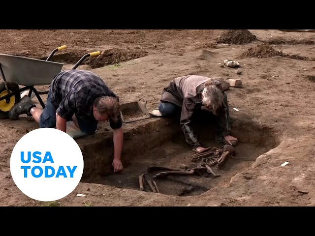 ⁣Danish archaeologists uncover 50 Viking-era skeletons | USA TODAY