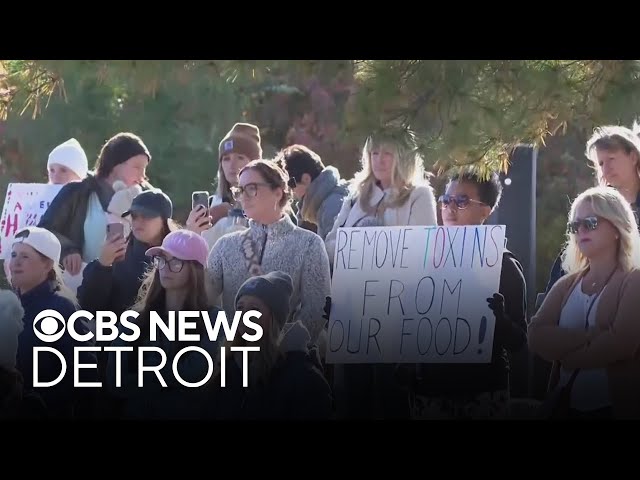 ⁣Protesters demand Kellogg remove artificial colors from its breakfast cereals