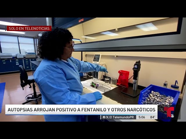 ⁣Detectan fentanilo y otras sustancias en cuerpos de víctimas de sobredosis