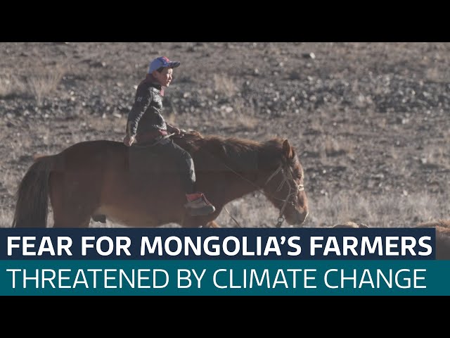 ⁣How drought is threatening Mongolia's traditional way of life | ITV News