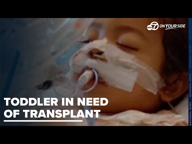 ⁣Two year old in urgent need of liver transplant while community seeks donor