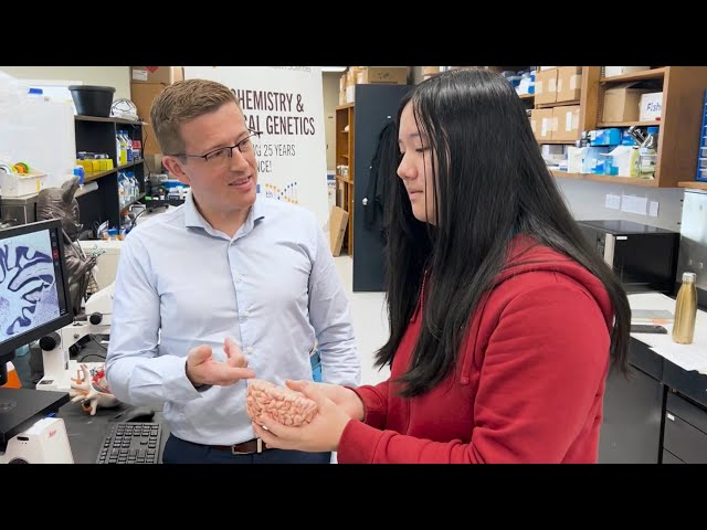 ⁣Canadian teen wins second place in international neuroscience competition