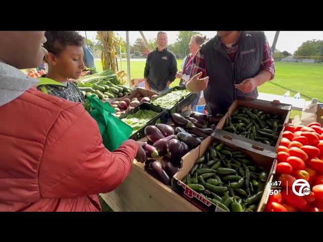 ⁣Hazel Park students learn about vegetables during first-ever farmers market