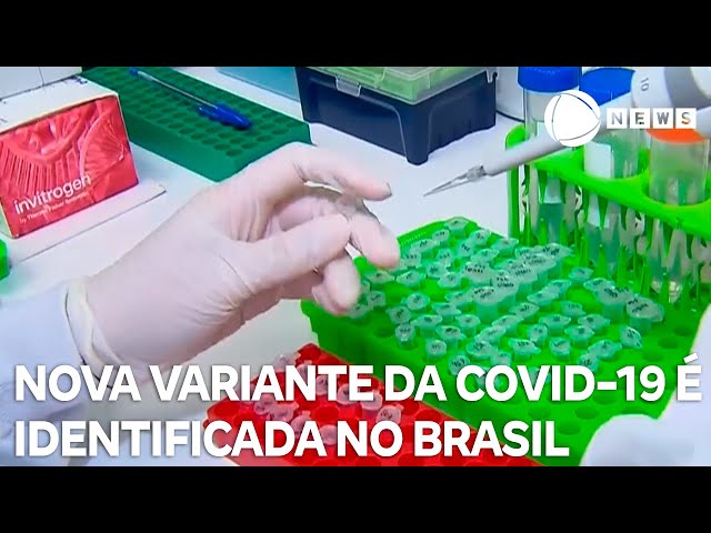 ⁣Covid: nova variante XEC é identificada em três estados do Brasil