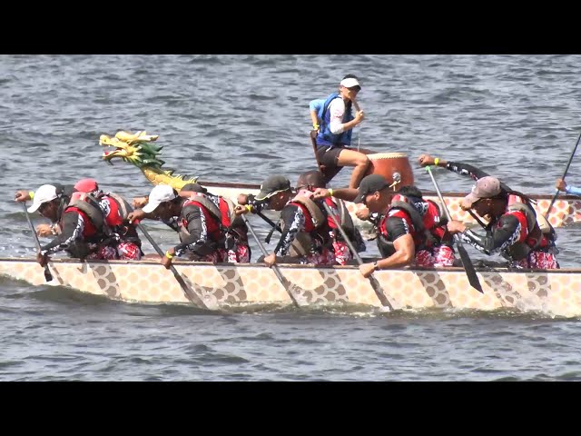 ⁣Aquaholics, Schools Paddle To Victory At Dragon Boat Regatta