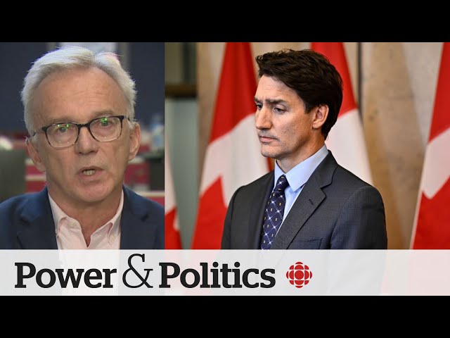 ⁣Long-time Liberal MP Sean Casey calls for Trudeau to step down | Power & Politics