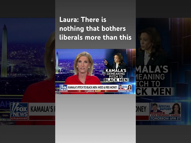 ⁣Laura: Kamala Harris' 'demeaning' pitch to Black male voters