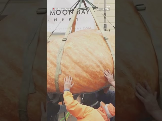 ⁣2,471-pound pumpkin wins 51st World Championship Pumpkin Weigh-Off