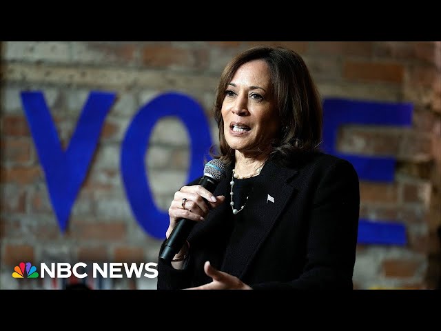 ⁣Harris focuses on Black voters in Detroit radio town hall