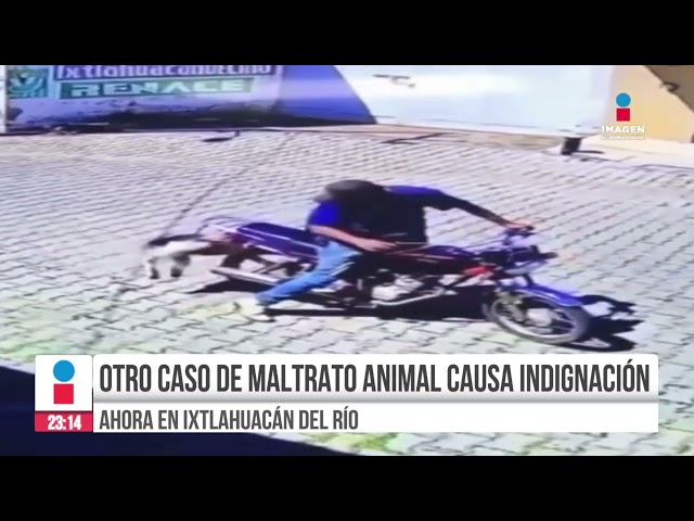 ⁣Indignación de Jalisco: nuevo caso de maltrato animal | Noticias GDL con Rey Suárez