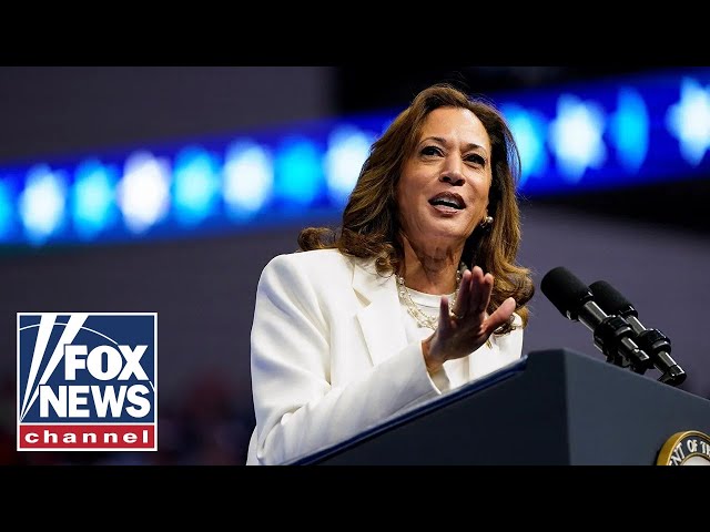 ⁣Kamala Harris ‘broke’ the border: Former acting ICE director