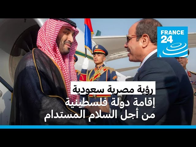 ⁣السيسي وبن سلمان: "إقامة الدولة الفلسطينية ذات السيادة هي السبيل الوحيد لتحقيق التهدئة والسلام&