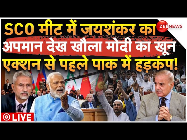 ⁣Jaishankar Insulted Pakistan In SCO Meet LIVE: मीट में जयशंकर का अपमान देख खौला मोदी का खून!