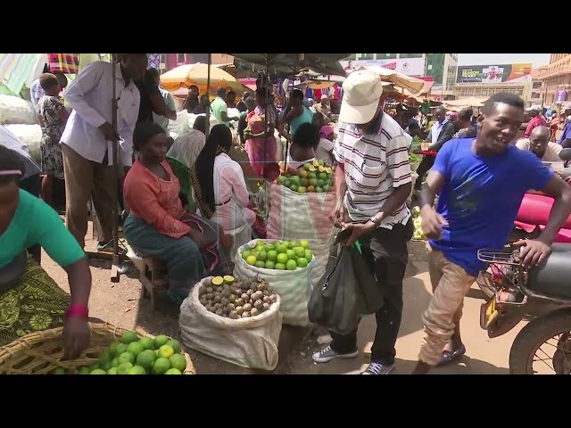 ⁣Experts urge daily nutritious eating on World Food Day