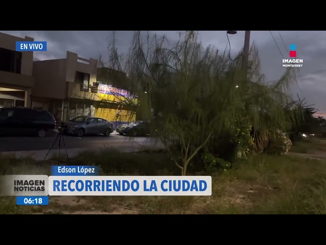 ⁣Denuncia ciudadana: camellón con maleza en Santa Catarina   | Noticias MTY primera emisión