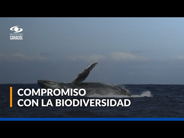 ⁣Cubrimiento especial de Noticias Caracol en la COP16