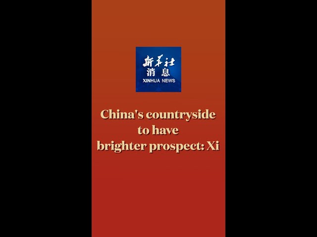 ⁣Xinhua News | China's countryside to have brighter prospect: Xi