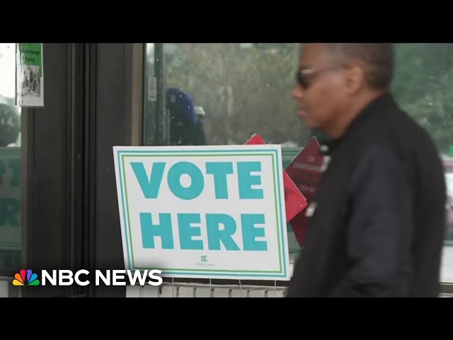 ⁣Georgia judge blocks hand-count ballot rule requirement for counties