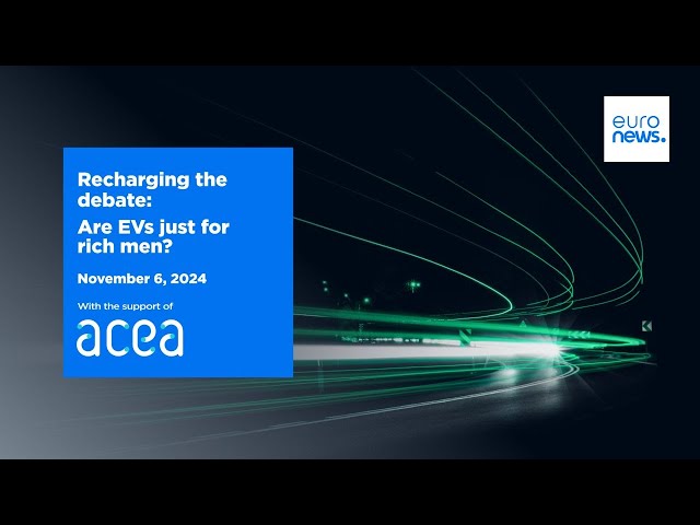 ⁣Recharging The Debate: Are EVs Just For Rich Men?