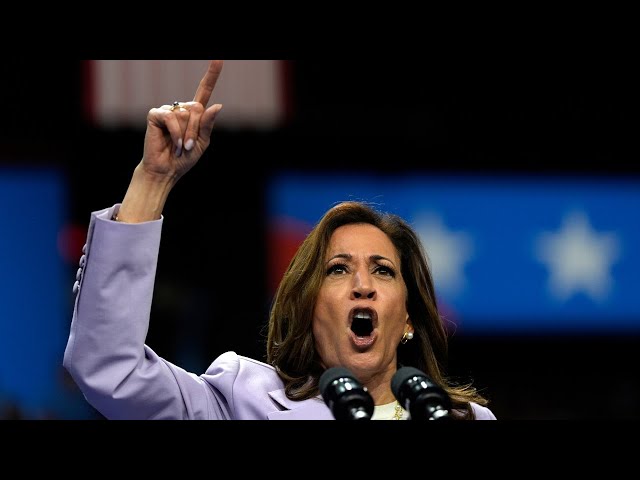 ⁣US border patrol agents ‘threaten to quit en masse’ if Kamala Harris wins presidency