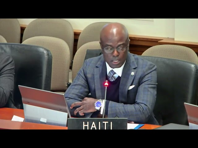 ⁣Reprezantan pèmanan a.i Ayiti nan OEA Gandy Thomas denonse diskriminasyon afwo desandan yo ap sibi.