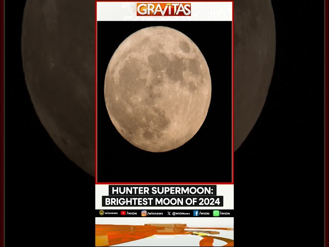 ⁣Biggest, Brightest Full Moon of 2024 to Light Up Skies | GRAVITAS | WION Shorts