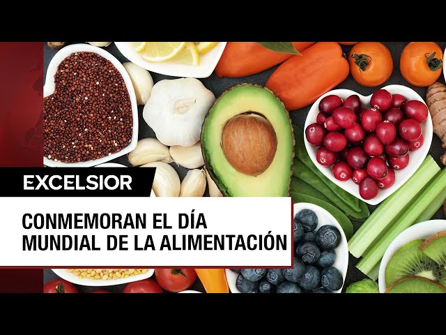 ⁣16 de octubre: Día Mundial de la Alimentación y consejos para tener una dieta balanceada