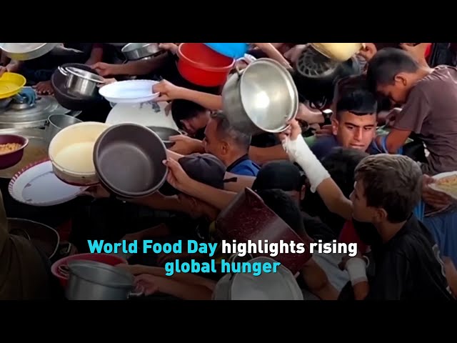 ⁣World Food Day highlights rising global hunger