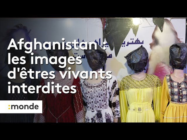 ⁣Les Talibans interdisent toutes les images d'êtres vivants