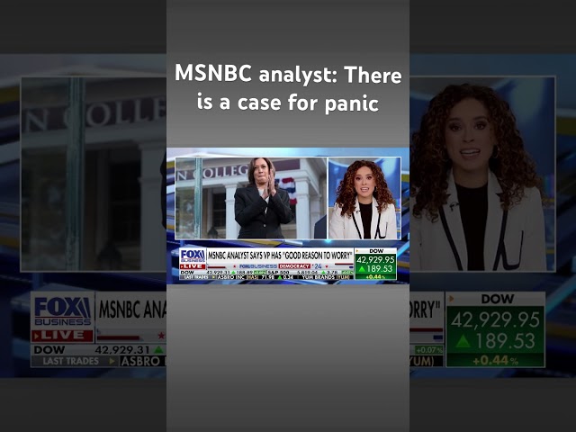 ⁣MSNBC analyst says Harris has ‘good reason to worry’ #shorts