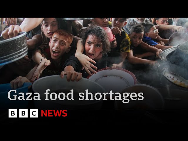 ⁣US says “policy of starvation” in Gaza would be “horrific and unacceptable” | BBC News