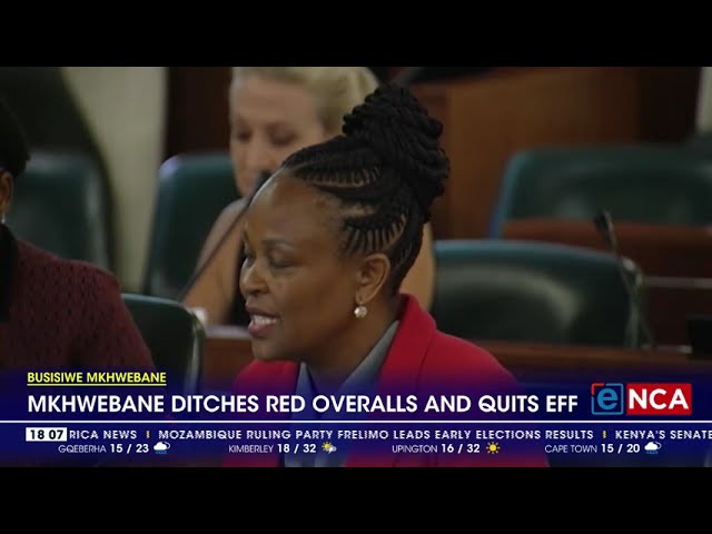 Busisiwe Mkhwebane ditches red overalls and quits EFF