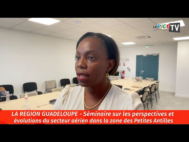 ⁣Séminaire sur les perspectives et évolutions du secteur aérien dans la zone des Petites Antilles