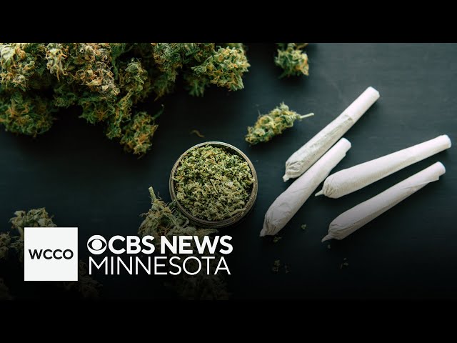 ⁣Minnesota cannabis business owners frustrated by initial licensing process delay