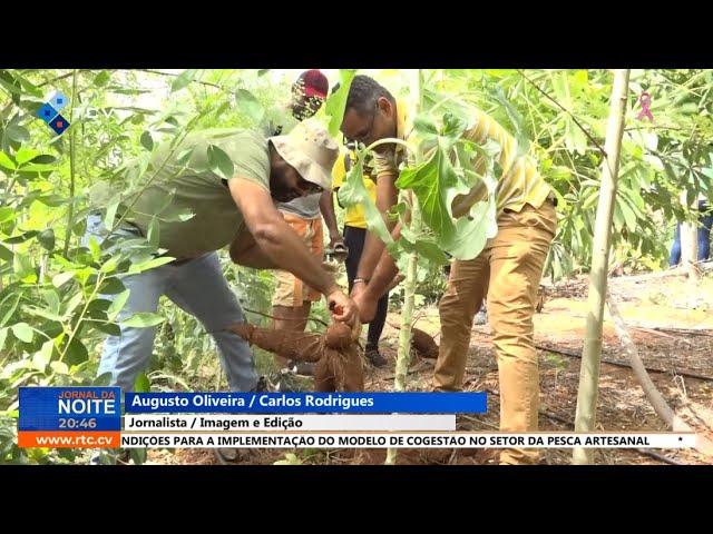 ⁣Decorre no Porto Novo uma formação sobre a agricultura sustentável