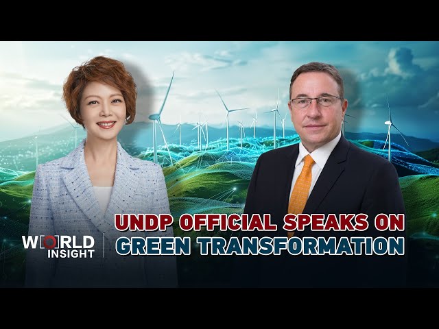 ⁣UNDP Official speaks on green transformation