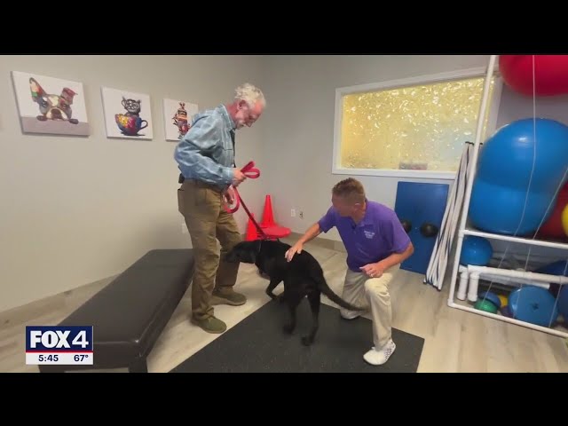 ⁣Clinical trial underway in North Texas for new drug that could extend a dog's lifespan