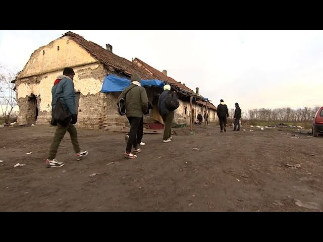 ⁣Serbian authorities clear illegal immigrant camp on Hungary border