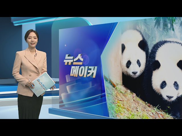 ⁣[뉴스메이커] 쌍둥이 판다 루이·후이, 야외 나들이 첫 일반 공개 / 연합뉴스TV (YonhapnewsTV)