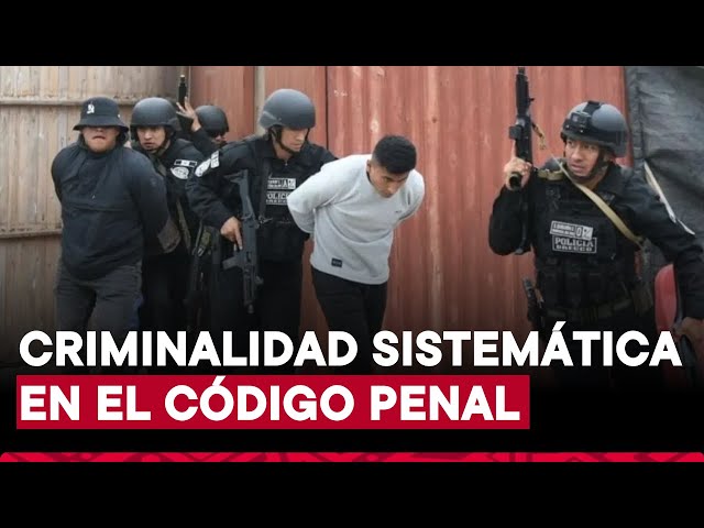 ⁣Congreso aprueba dictamen que incorpora el delito de criminalidad sistemática al Código Penal