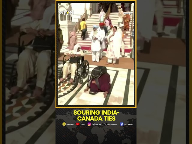 ⁣Parents Worry About the Fate of Their Children Amid Souring India-Canada Ties | WION Shorts