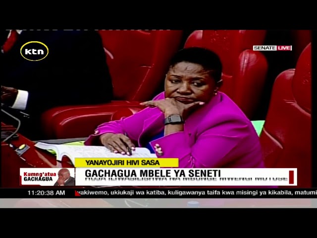 Gachagua impeachment: Ndegwa Njeru cross-examines EACC Deputy CE Abdi Mohamud Ahmed