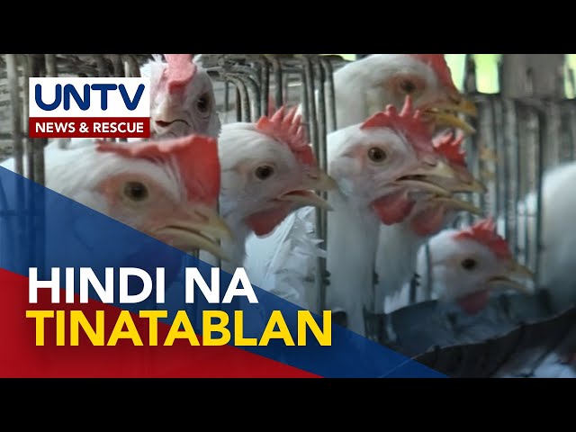 ⁣Ilang poultry, nakitaan ng resistance sa antibiotics; Epekto sa tao, pinangangambahan – study