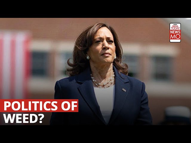 ⁣Kamala Harris woos black voters by promising to legalise recreational marijuana