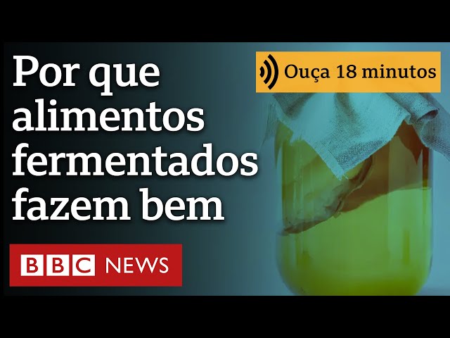 ⁣Alimentos fermentados, como kombucha, realmente fazem bem à saúde?