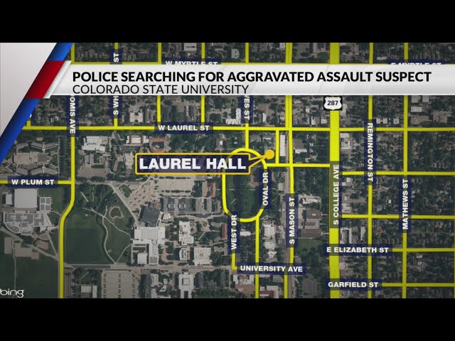 ⁣Police searching for assault suspect at CSU