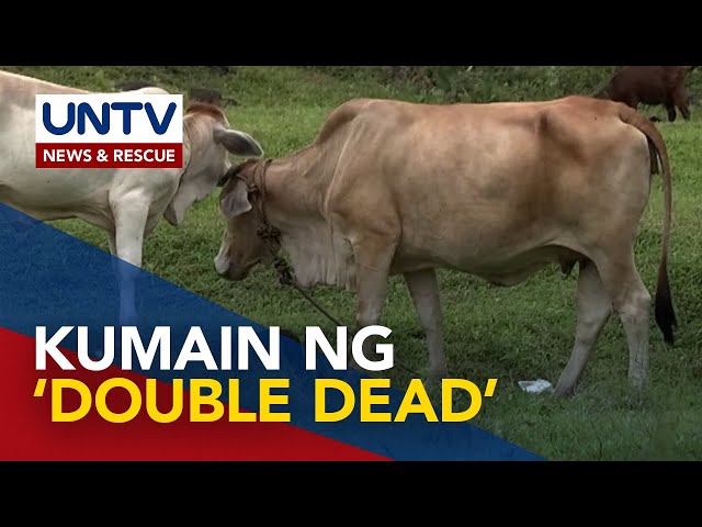 ⁣Ilang nakakain umano ng karne ng kalabaw na umano’y may anthrax, hinahanap ng PHO-Cagayan