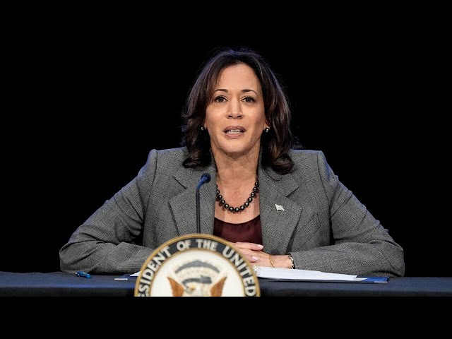 ⁣‘A lot of trouble’ coming if Kamala Harris wins election